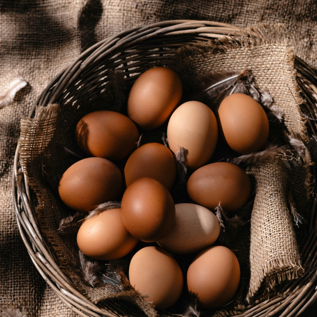 Buy Eggs - Free Range Online NZ